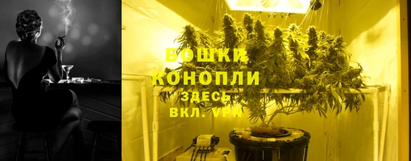 хмурый Арсеньев