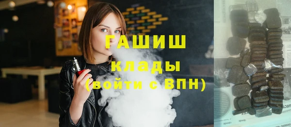 хмурый Арсеньев