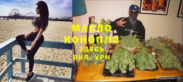 хмурый Арсеньев