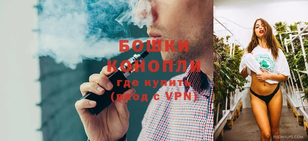 хмурый Арсеньев