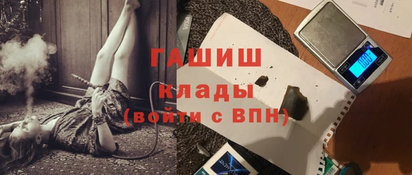 хмурый Арсеньев