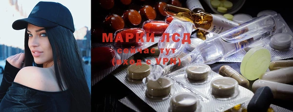 хмурый Арсеньев